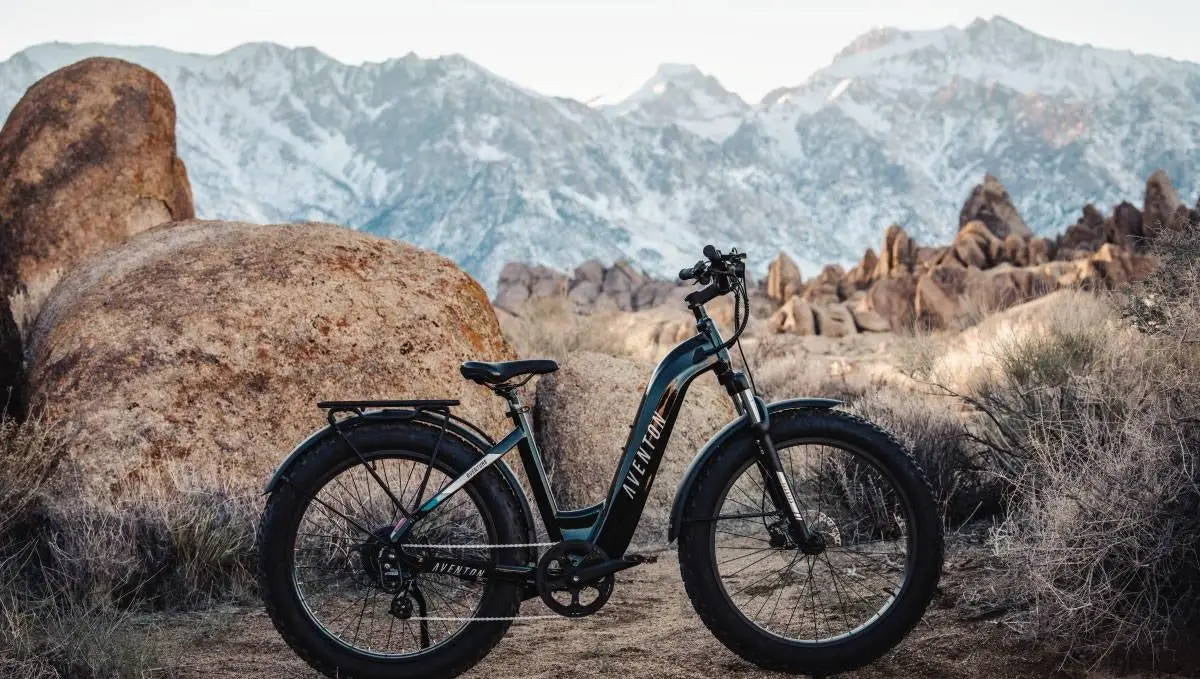 Top 11 Electric Bikes of 2025