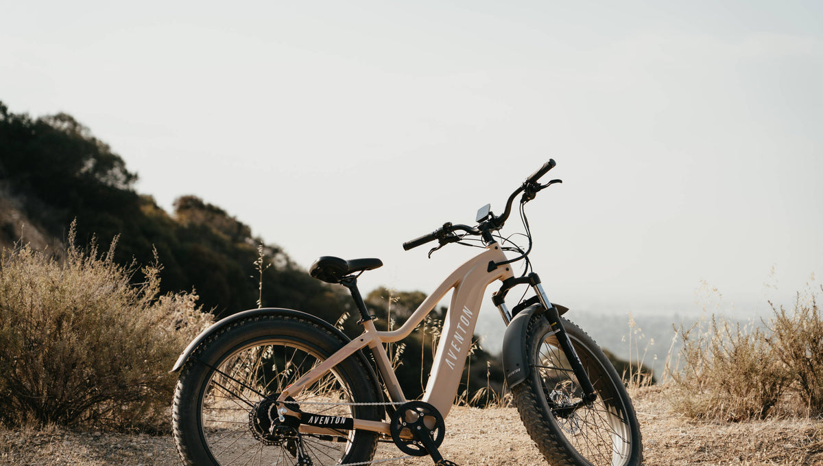 Ebike Gears: Ultimate Guide to Electric Bicycle Gears