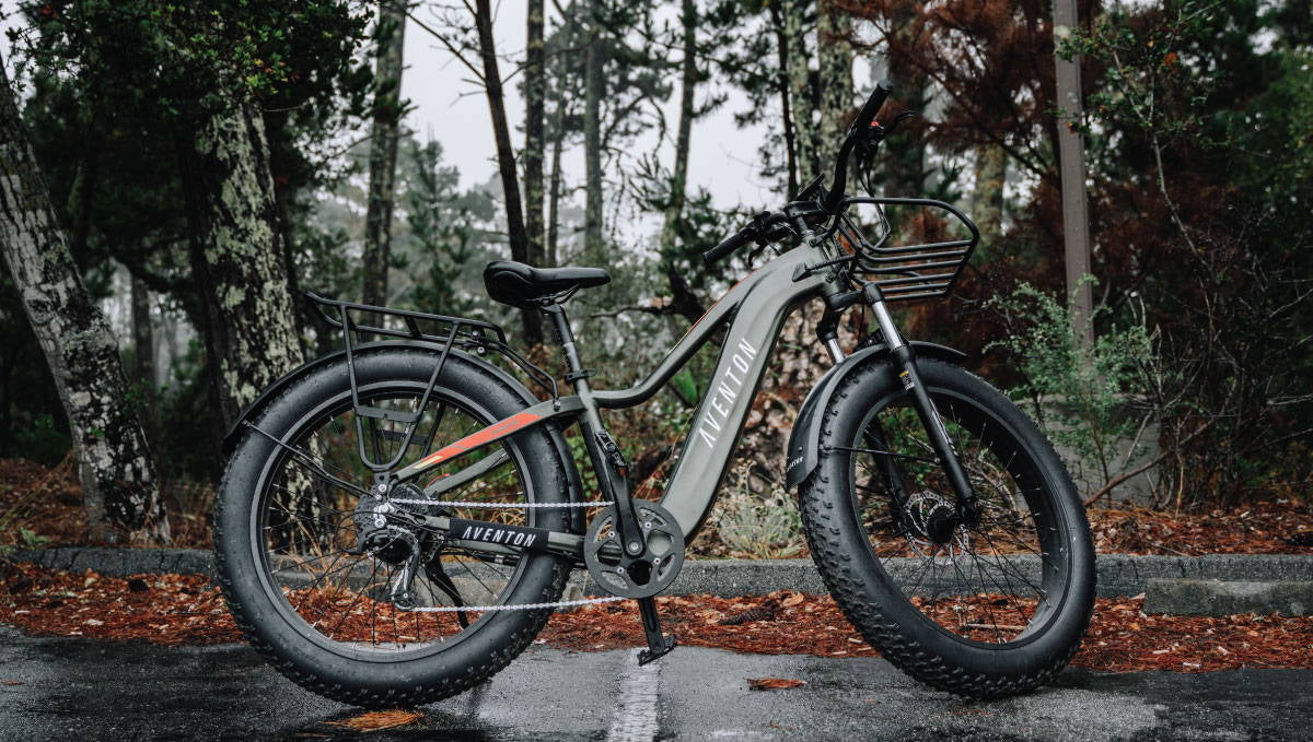 Aventon's Aventure Vs. Bakcou's Flatlander: Comparing Fat Tire Ebikes