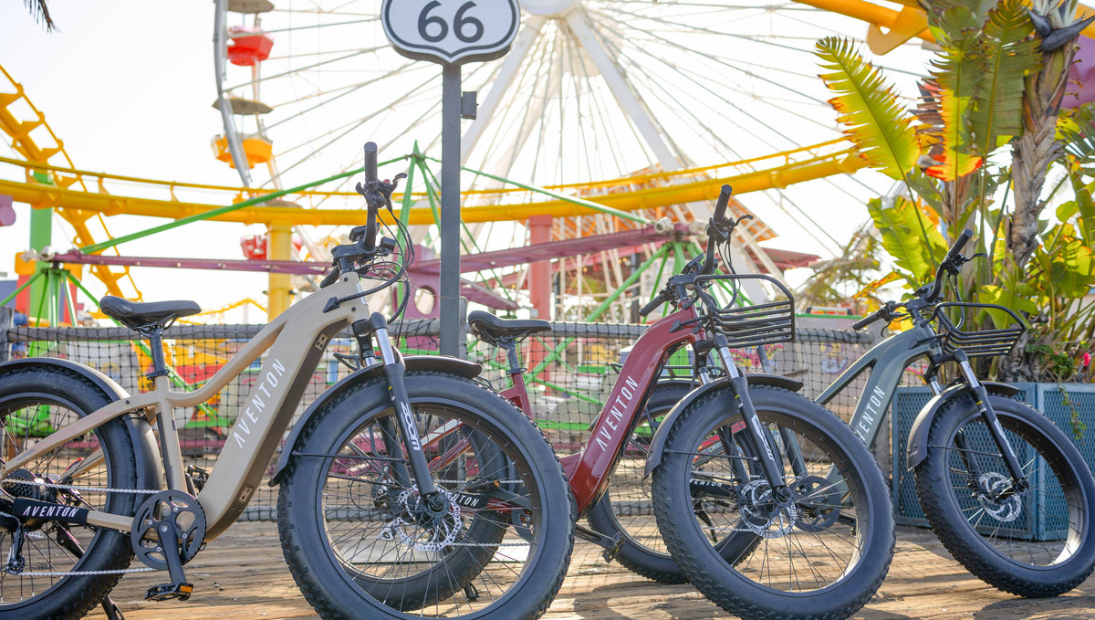 What Does the Future Look Like for Ebikes?