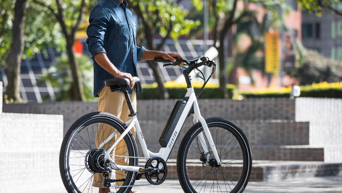 State of the Ebike Industry: Batteries