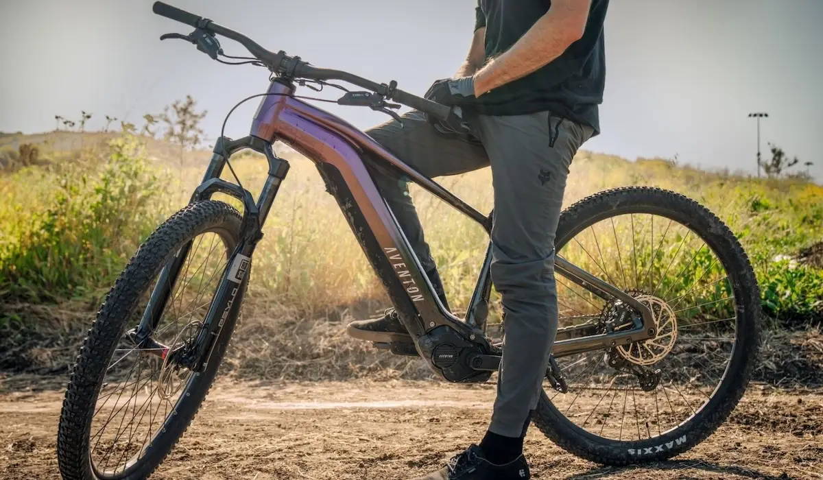 Aventon vs Giant Ebikes: The Best Brand for Affordability and Power