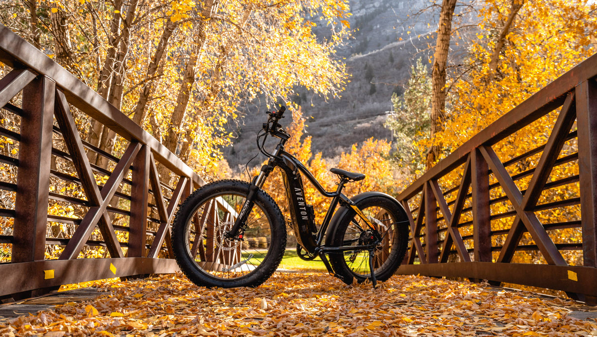 Best Electric Bike Gift Ideas for 2021