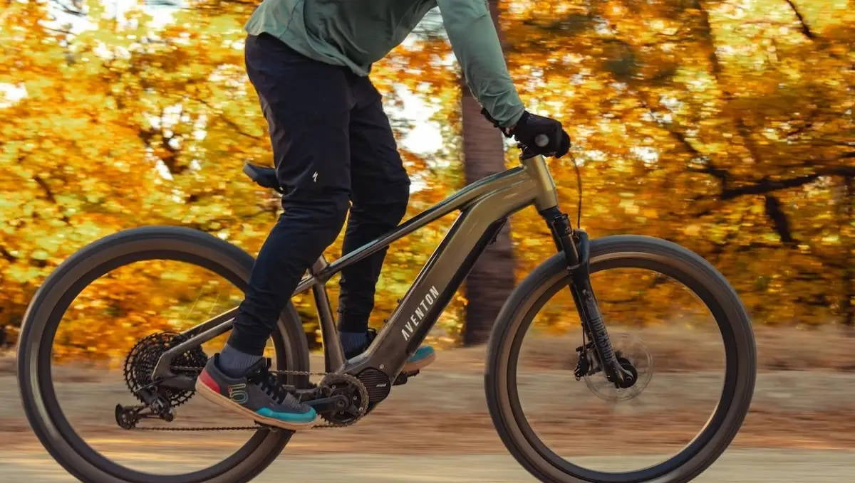 Best 250-Watt Electric Bikes for Adults in 2025