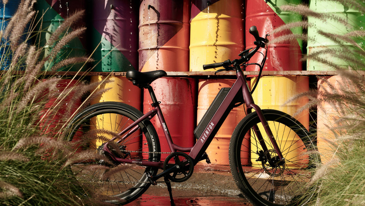 Electric Assist Bike: The Ultimate Guide