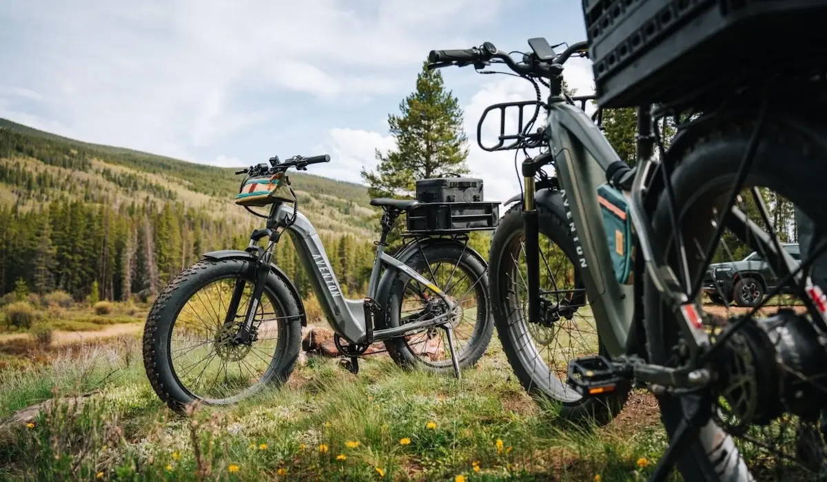 Preventing Ebike Battery Fires