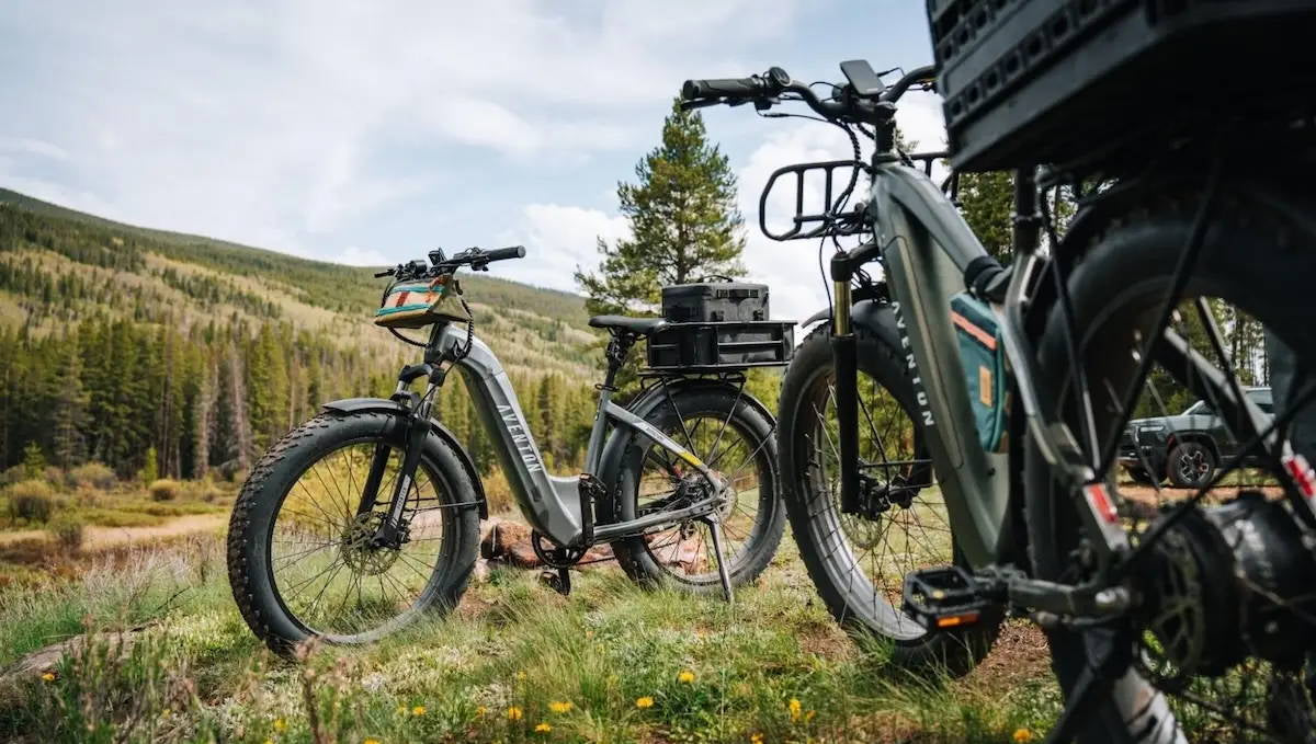 Preventing Ebike Battery Fires