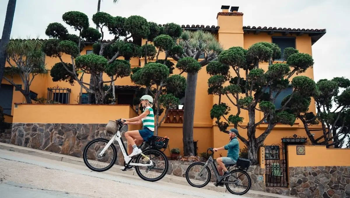 8 Best Ebikes for Hills