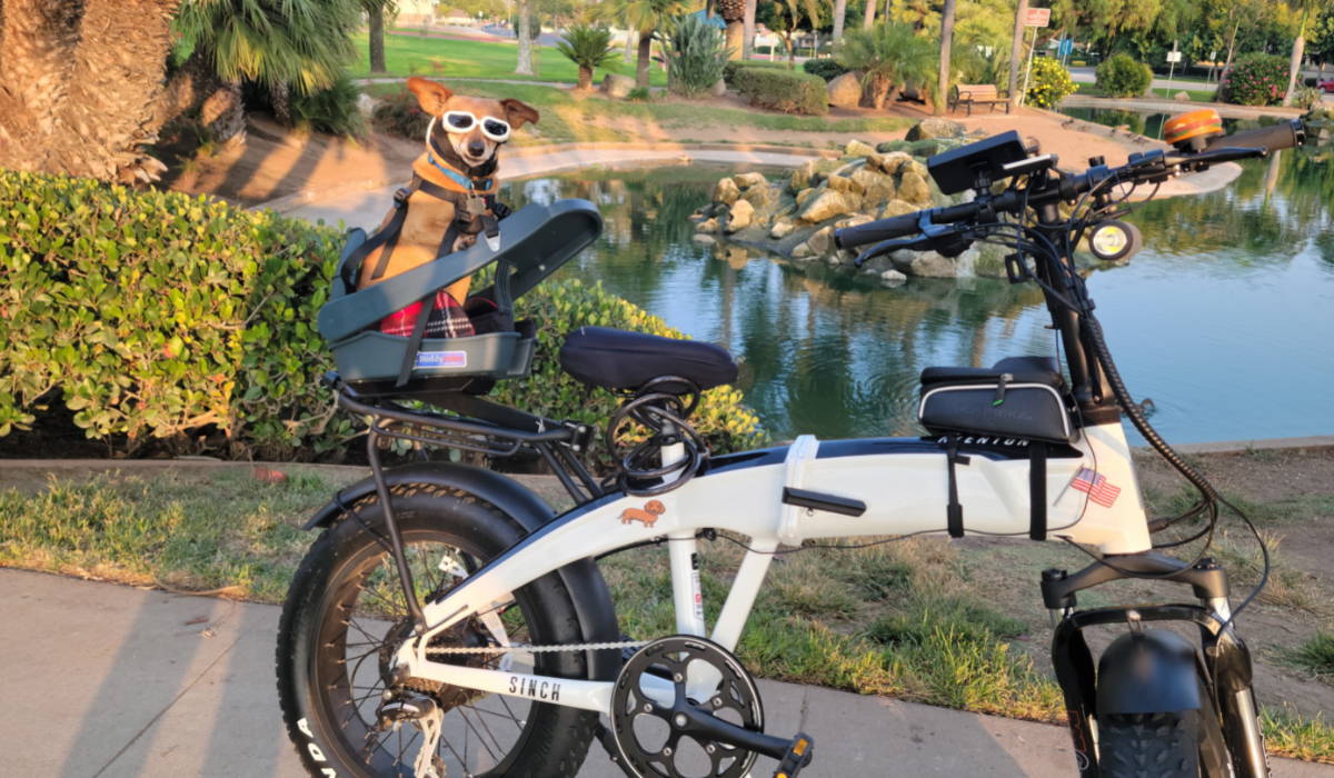 An Adventurous Tale of How Reyna and Woody Found Freedom with their Ebikes