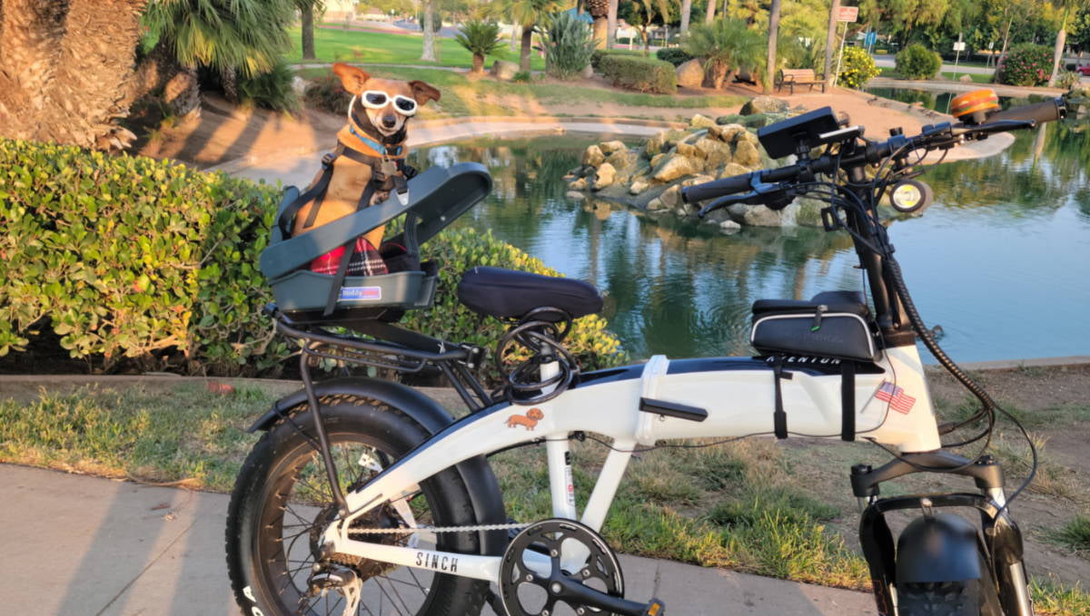 An Adventurous Tale of How Reyna and Woody Found Freedom with their Ebikes