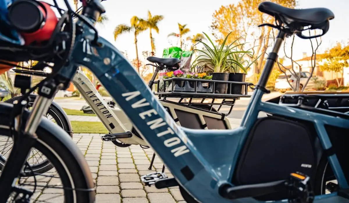 8 Best Cargo Ebikes 2025
