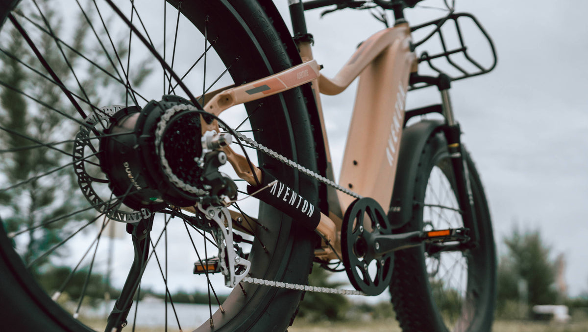 How to Clean an Ebike Chain