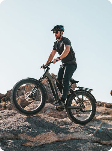 Fat Tire (All-Terrain)
